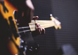 Indoor Konzert bei alpes-tonewood