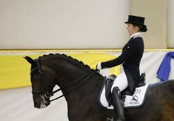 Dressurturnier und Halbfinale "DERBY Stars von Morgen"