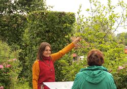 Römergarten von Bedaium - Eine naturkundliche Führung im antiken Seebruck