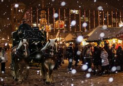 Heitauer Tagesfahrt: Wasmeiers Weihnachtsmarkt
