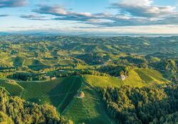 Wine & Dine mit Weingut Sabathi Steiermark