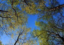 Entspannt in die Woche - eine Hypnose-Reise