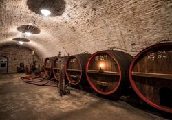 Führung durch die Wasserburger Bierkatakomben