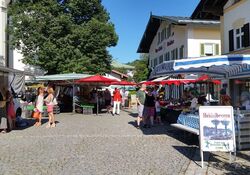 Grüner Markt