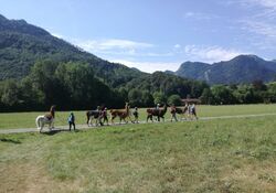 Lama-Trekking