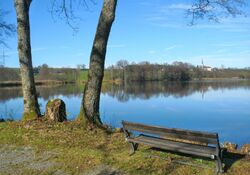 Naturwanderung mit Herrn Hering nach Hirnsberg