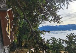 "Wandern mit Andern"