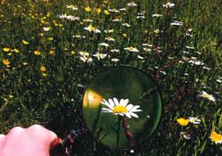 "Naturdetektive" Kindergruppe