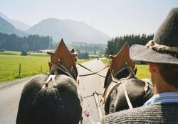 Kutschfahrten im Chiemgau