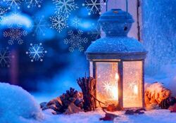 Bad Feilnbacher Waldadvent