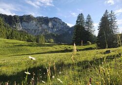 Wanderung: Rundwanderweg Dettendorf