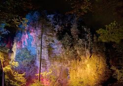 Zeichnen mit Licht und Stift: Das Sujet der Landschaft von Bürkel bis Bracke