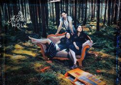 Anheizholz live im Baristro