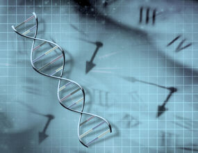 LGL Campus: Gene, Stress und die innere Uhr – wie Stresshormone unsere Gene kontrollieren