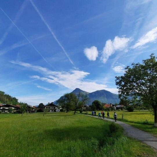 Nordic Walking 