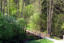Waldbaden im Park - Energie tanken bei einem Frühlingswaldbad