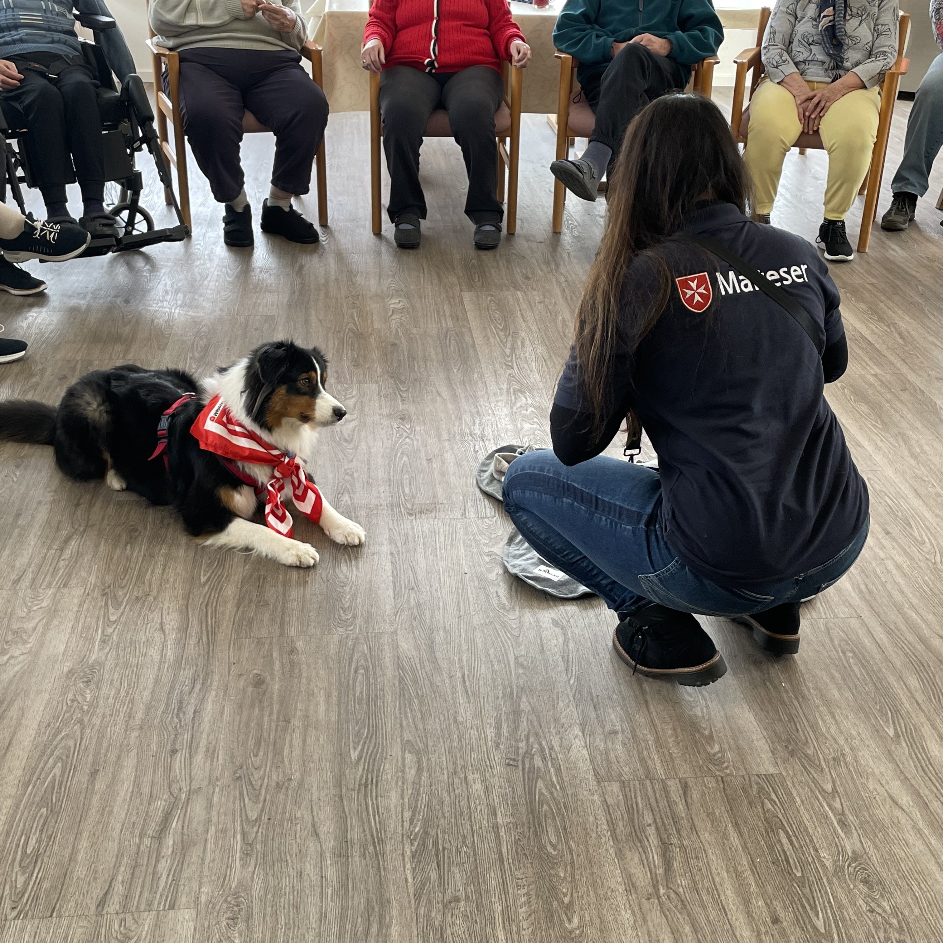 Informationsabend zur Ausbildung für den Malteser Besuchsdienst mit Hund
