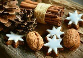 Backworkshop vegane Weihnachtsplätzchen