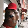 Stadtführung: Lass Dir keinen Bären aufbinden