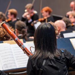 Sinfonieorchester VS -Musikalische Kostbarkeiten