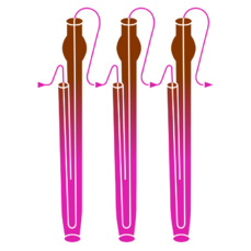 Rathauskonzert: Azzolini & Friends