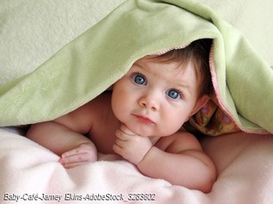 Baby-Café in FFB Forum 31