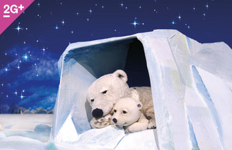 Kindertheater marotte "Der kleine Eisbär"