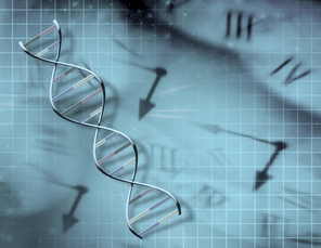 LGL Campus: Gene, Stress und die innere Uhr – wie Stresshormone unsere Gene kontrollieren