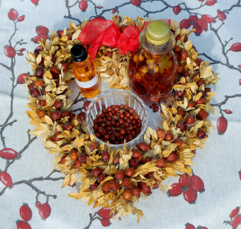 Herbstliche Kräuterführung