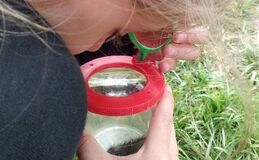 „Insektenforscher“– für Familien mit Kindern ab 6 Jahren