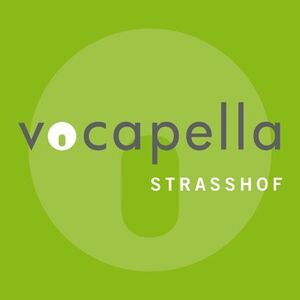 Chor-Konzert Vocapella Strasshof "heiter bis folkig"
