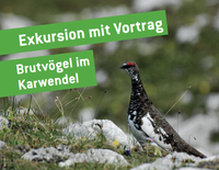 Exkursion mit Vortrag: Brutvögel im Karwendel