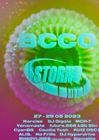BCCO x STORNO 36 H 