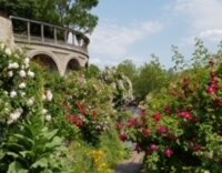 Das Weinbergareal - ein Gartendenkmal im Wandel