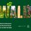  Familienführung zum Internationalen Museumstag: Sonderausstellung Wald