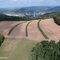 Agroforstsysteme - ein zukunftsfähiges Modell für die Landwirtschaft?