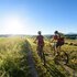Murnau 360° - geführte Radtour
