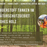Wandern | Sauerstoff tanken im Naturschutzgebiet Hohes Holz