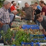 Pflanzenmarkt für botanische Raritäten