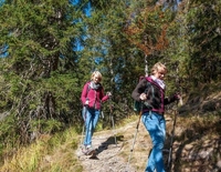 Begleitete Wanderung über Panoramaweg und Krepelschrofen zur Maxhütte und Isar