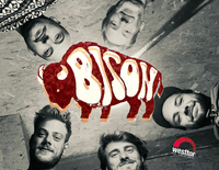 Bison - live in concert