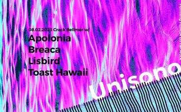 Unisono with Lisbird, Toast Hawaii, Breaca, Apolonia