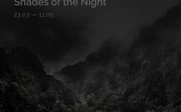 Shades of the Night  