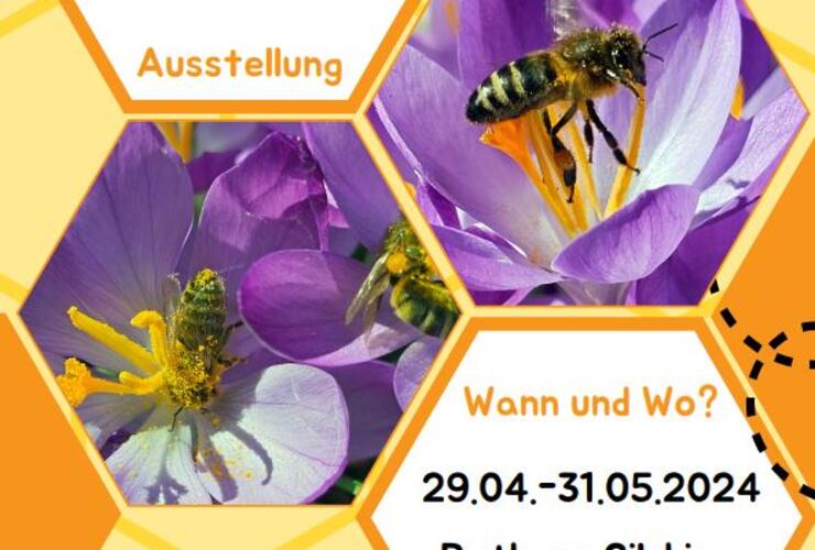 Bienen, Schmetterlinge & Co.: ´Bayern summt´ im Rathaus Gilching