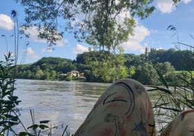 Der Donau zuhören