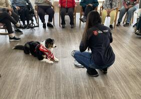 Informationsabend zur Ausbildung für den Malteser Besuchsdienst mit Hund