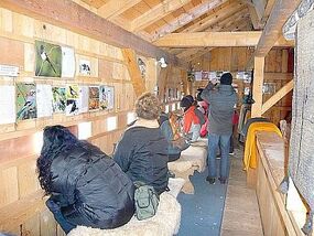 Vogelbeobachtung im Klosterland