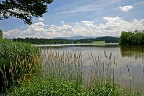 Seefest am Deutensee bei Peiting - Livemusik