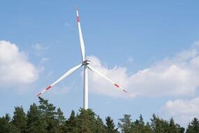 Windkraft und Artenschutz - ein Widerspruch?