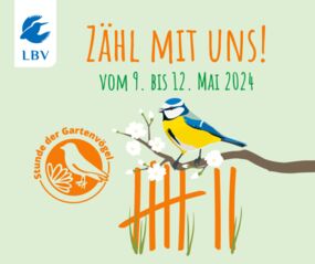 Stunde der Gartenvögel in Bayern 2024
